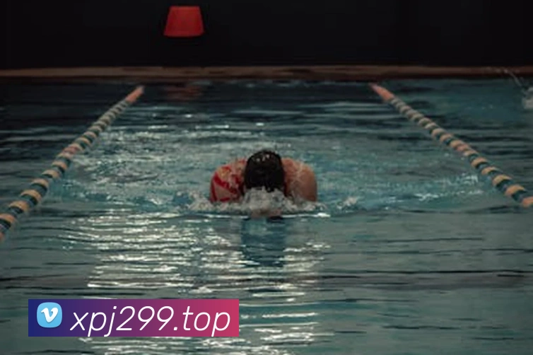 奖项证书